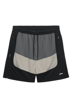 Three Tone Mesh Shorts Grey/Black